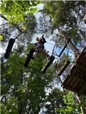 Veranstaltungsbild Ausflug zum KLETTERWALD Aurich